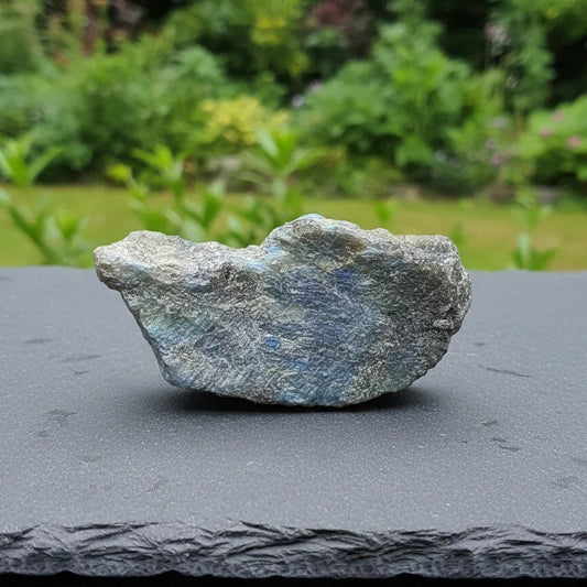 Labradorite 1 face polie 19g (PRGFL575 - 15)