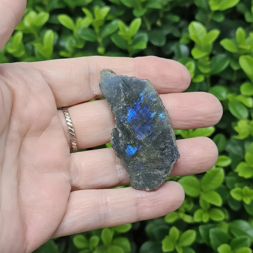 Labradorite 1 face polie 19g (PRGFL575 - 15)