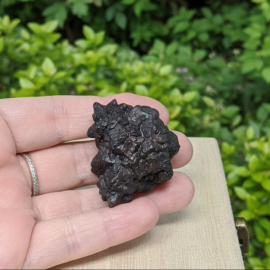 Pierre de Prophétie brute - Goethite / Marcasite 52g (MB554-7)