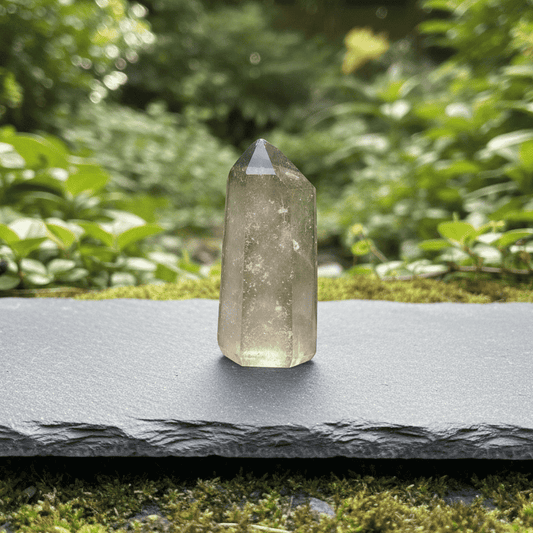 Pointe polie en Citrine 22g (PRGFL760)