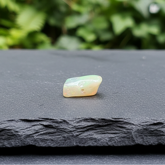 Opale Welo polie 1,4g (PRGFL736 - 1)