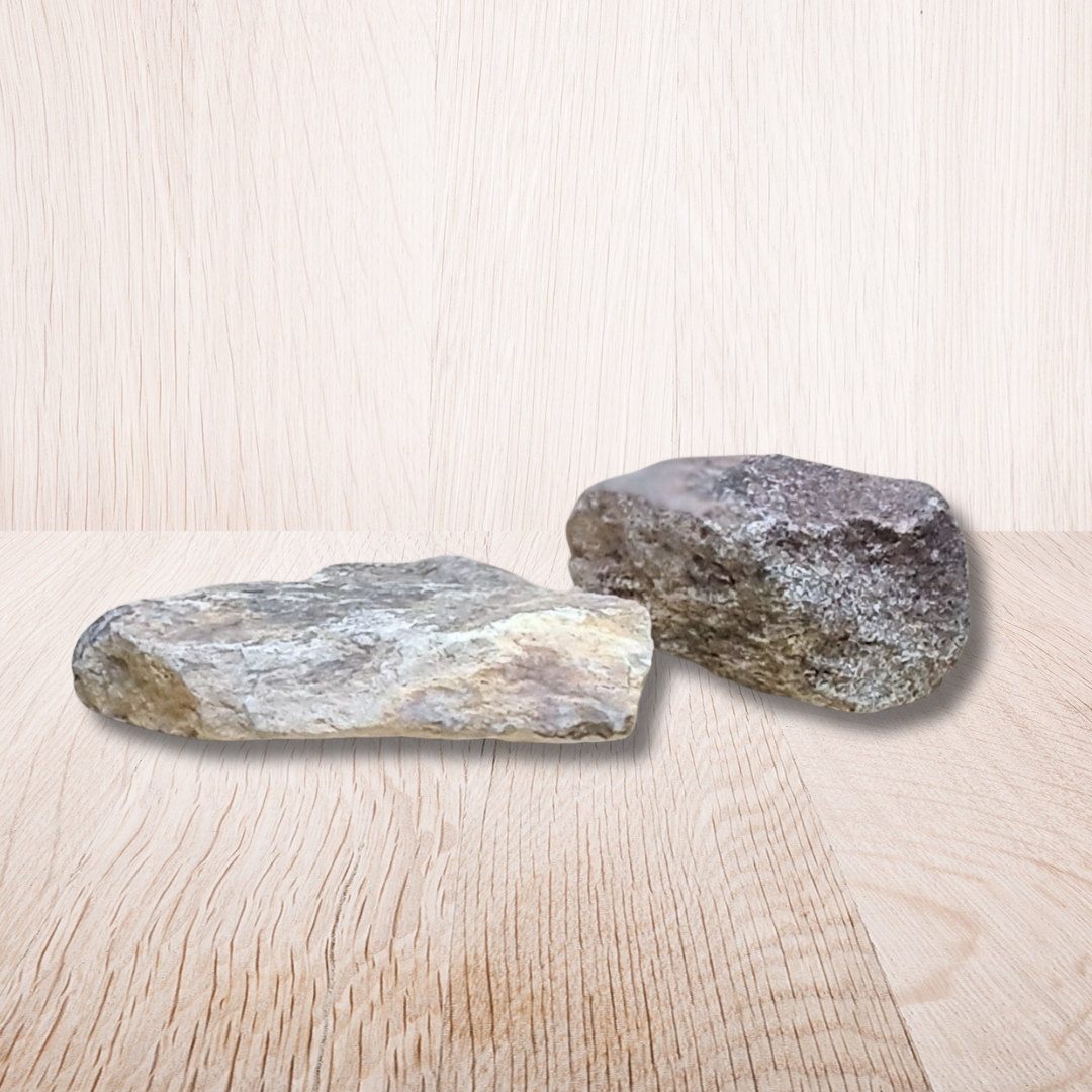Lot de 2 os de dinosaure fossilisé brut (MB530-2)