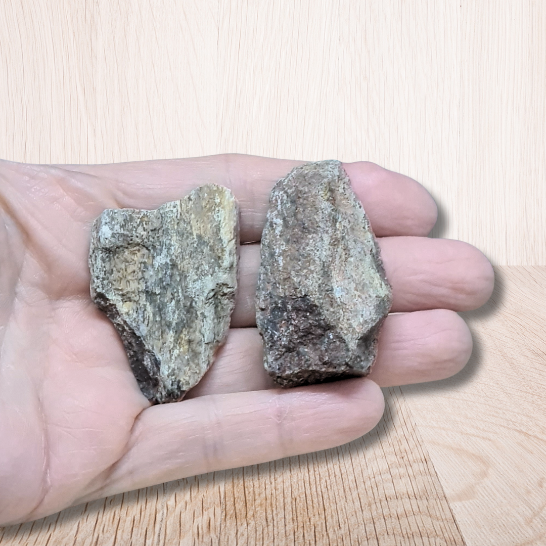 Lot de 2 os de dinosaure fossilisé brut (MB530-2)