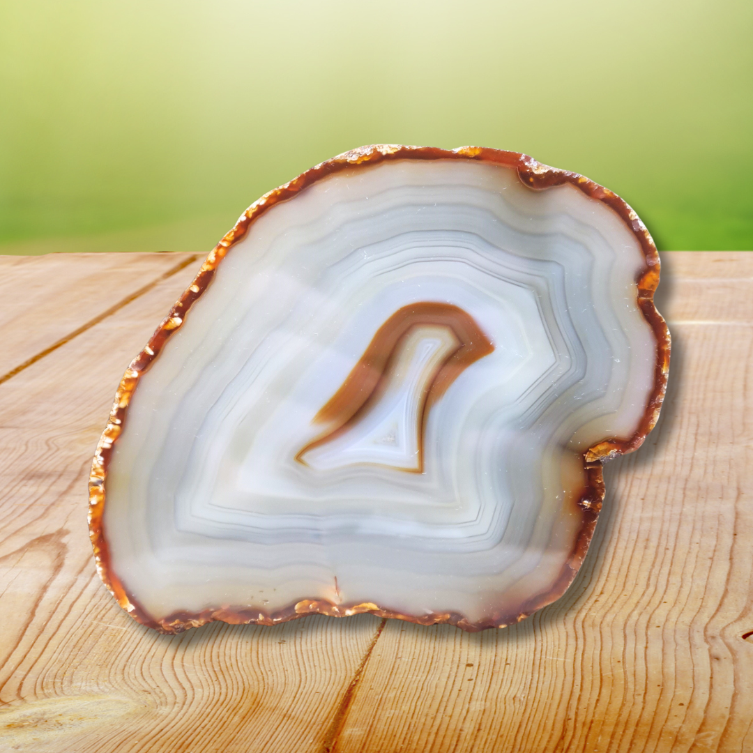 Agate avec une face polie (MB351-2)
