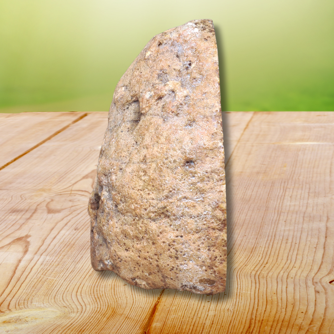 Agate avec une face polie (MB351-2)
