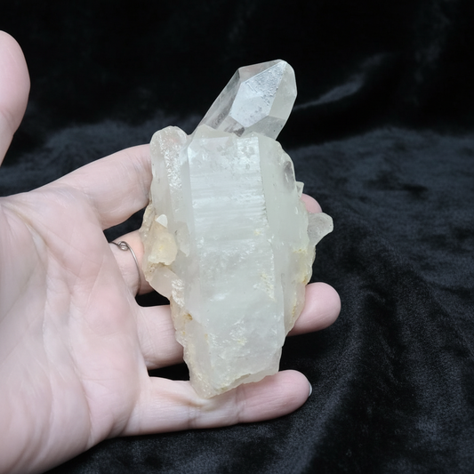 Amas de pointes de Cristal de Roche 196g (MB433-12)