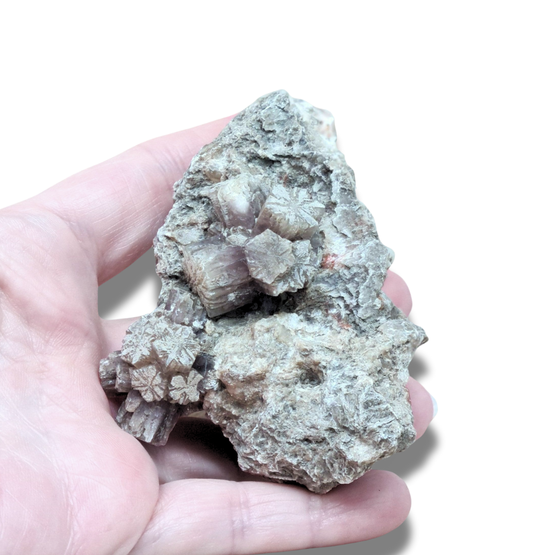 Aragonite violette brute (MB180-1) - ENAE Minéraux