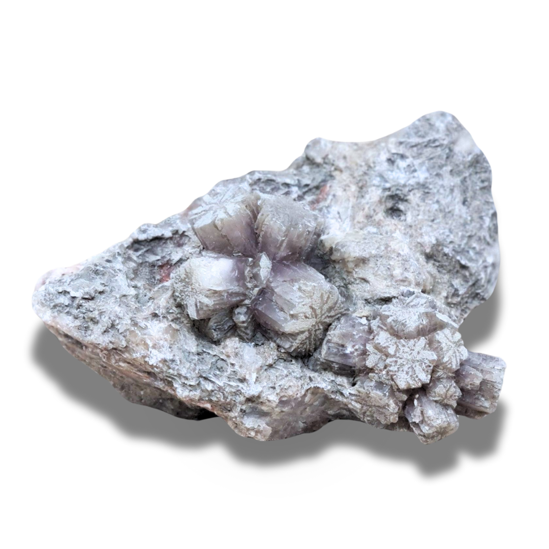 Aragonite violette brute (MB180-1) - ENAE Minéraux