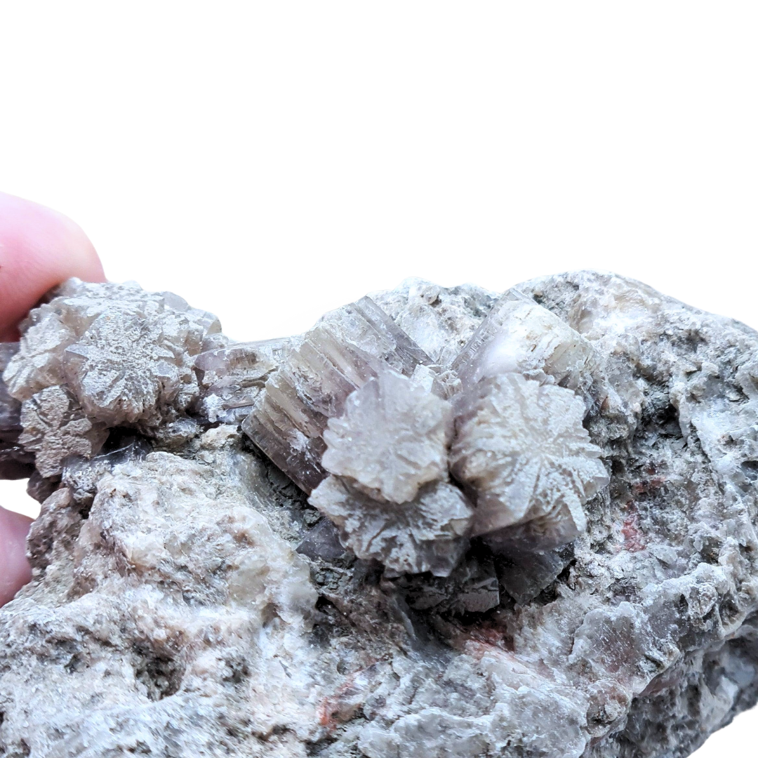 Aragonite violette brute (MB180-1) - ENAE Minéraux