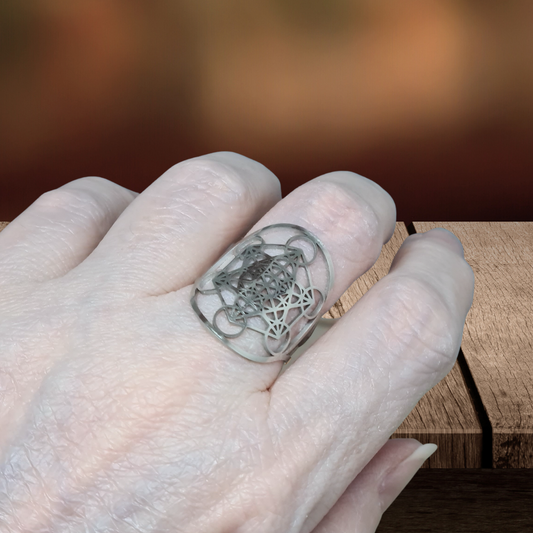Bague réglable Metatron en acier inoxydable (BAGMT)