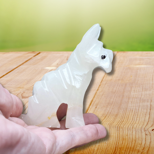 Chien en Aragonite et Calcite 138g (PRGFL347-3)