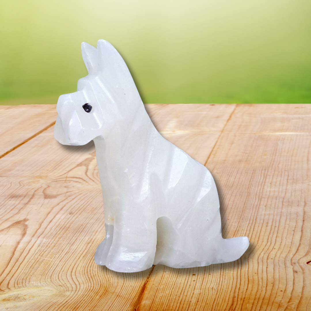 Chien en Aragonite et Calcite 138g (PRGFL347-3)