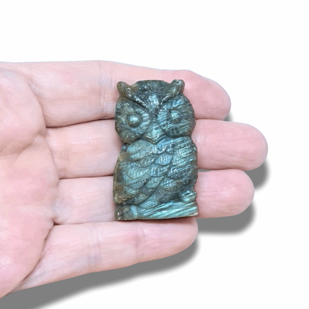 Chouette en Labradorite (PRGFL500-19)