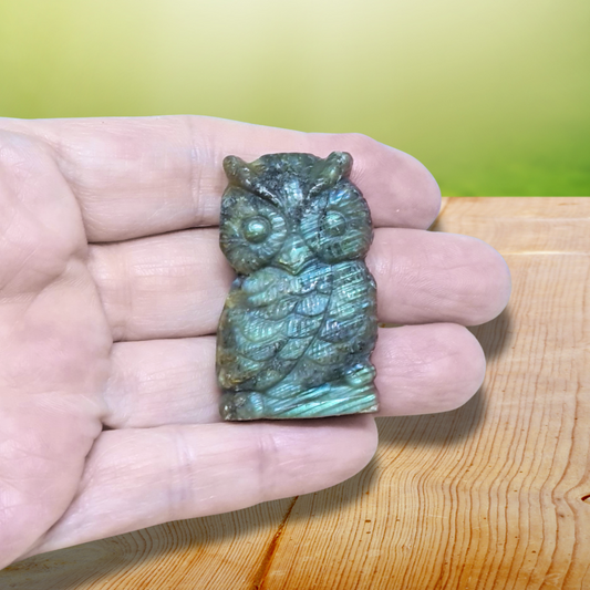 Chouette en Labradorite 31g (PRGFL500-19) - ENAE Minéraux