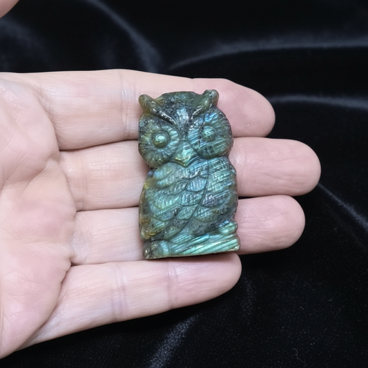 Chouette en Labradorite 31g (PRGFL500-19)