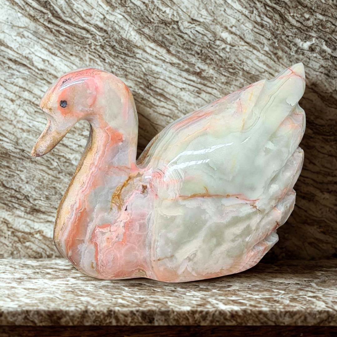 Cygne en Aragonite et Calcite 409g (PRGFL622-6)