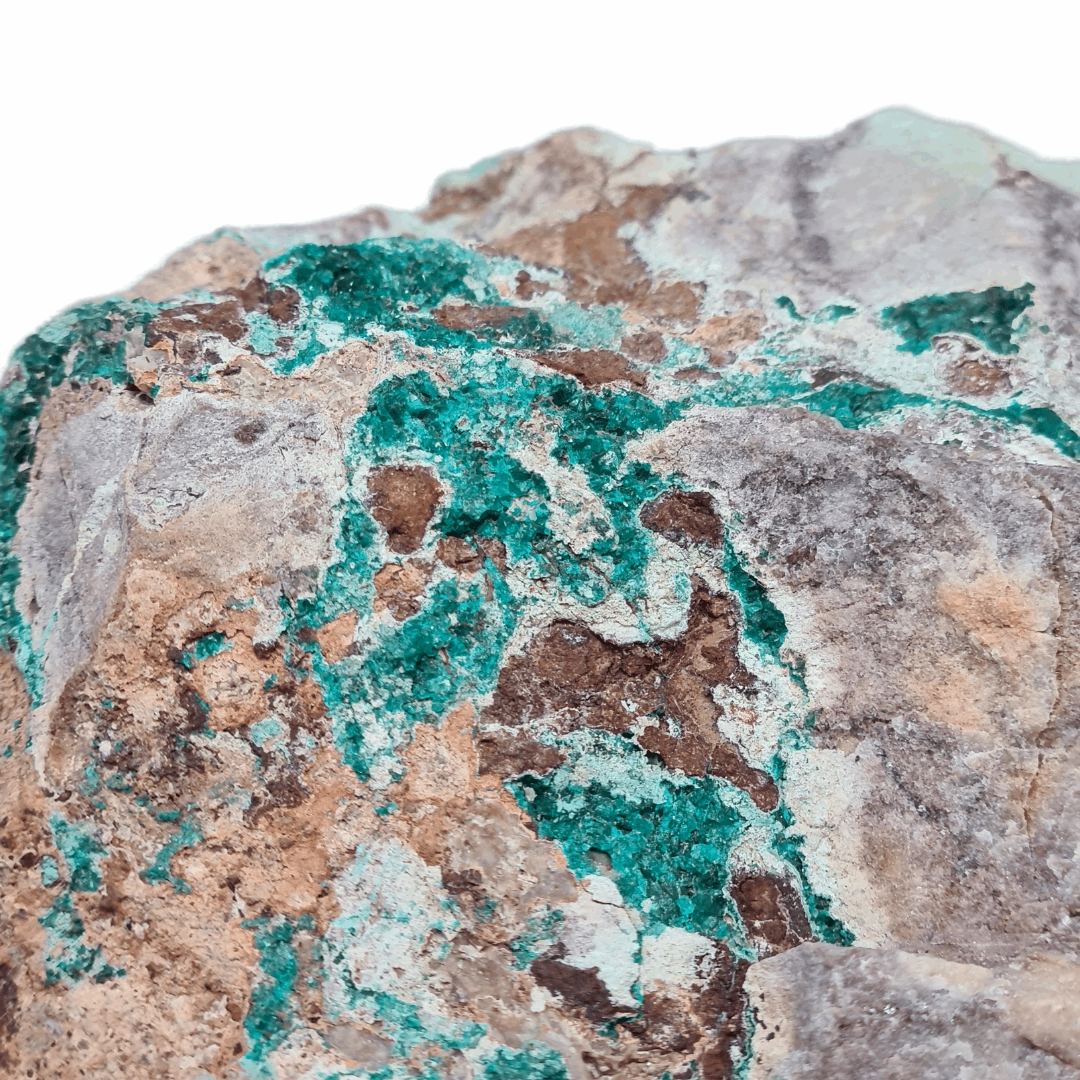 Dioptase brute avec Planchéite et Cérusite (MB432-2)