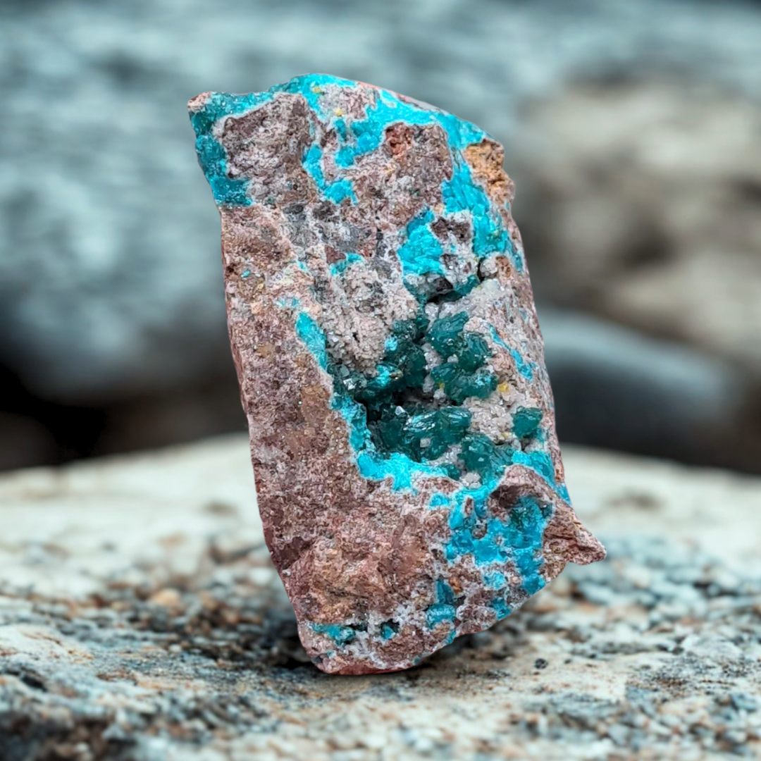 Dioptase, Calcite, Wulfénite et Shattuckite brute 30g (MB463)