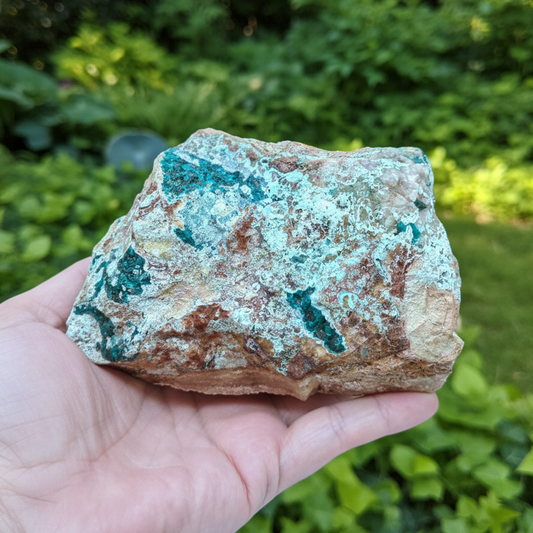 Dioptase brute avec Planchéite, Shattuckite, Cérusite 1157g (MB432-1)
