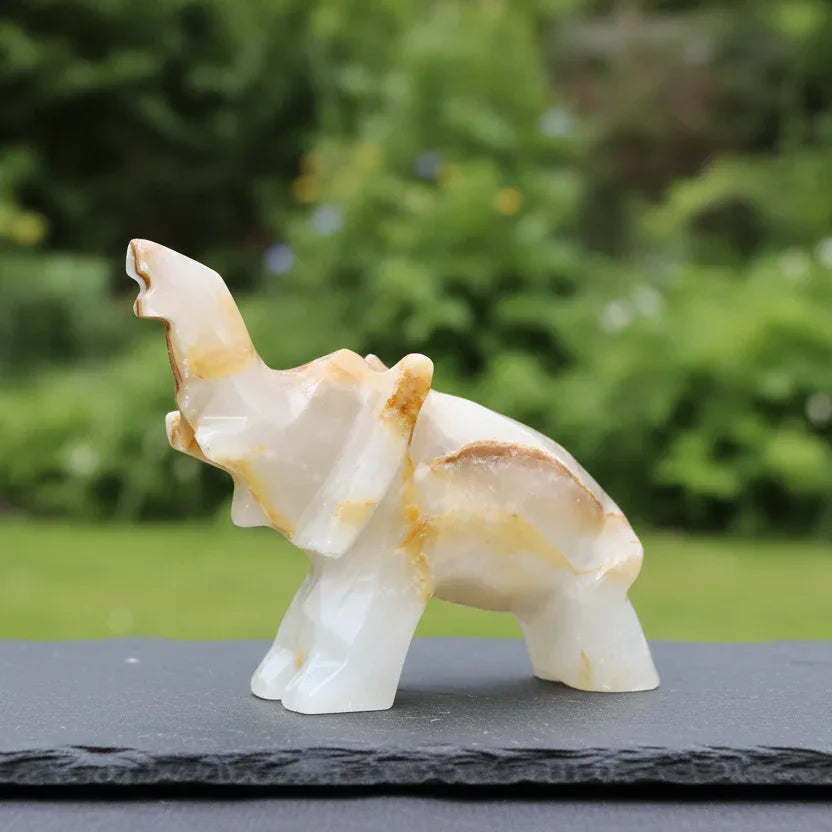 Eléphant en Calcite et Aragonite 42g (PRGFL346-63)