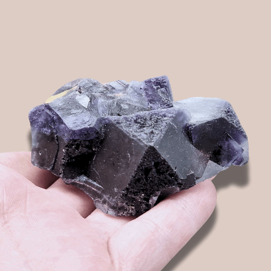 Fluorite violette foncée brute (MB403)