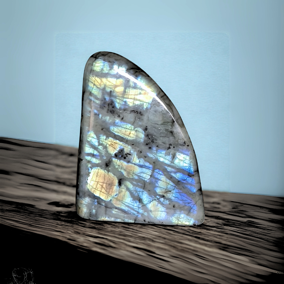 Forme libre en Labradorite 349g (PRGFL730)