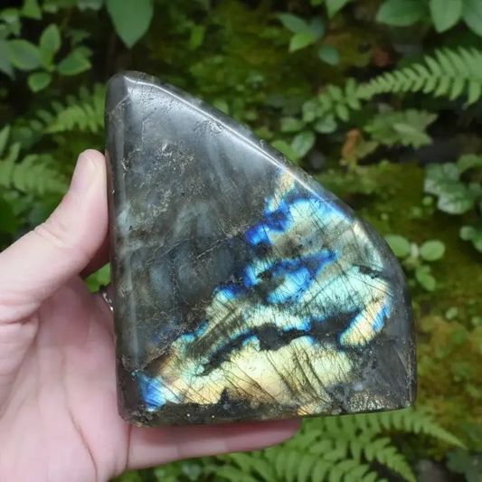 Forme libre polie en Labradorite 653g (PRGFL256 - 2)