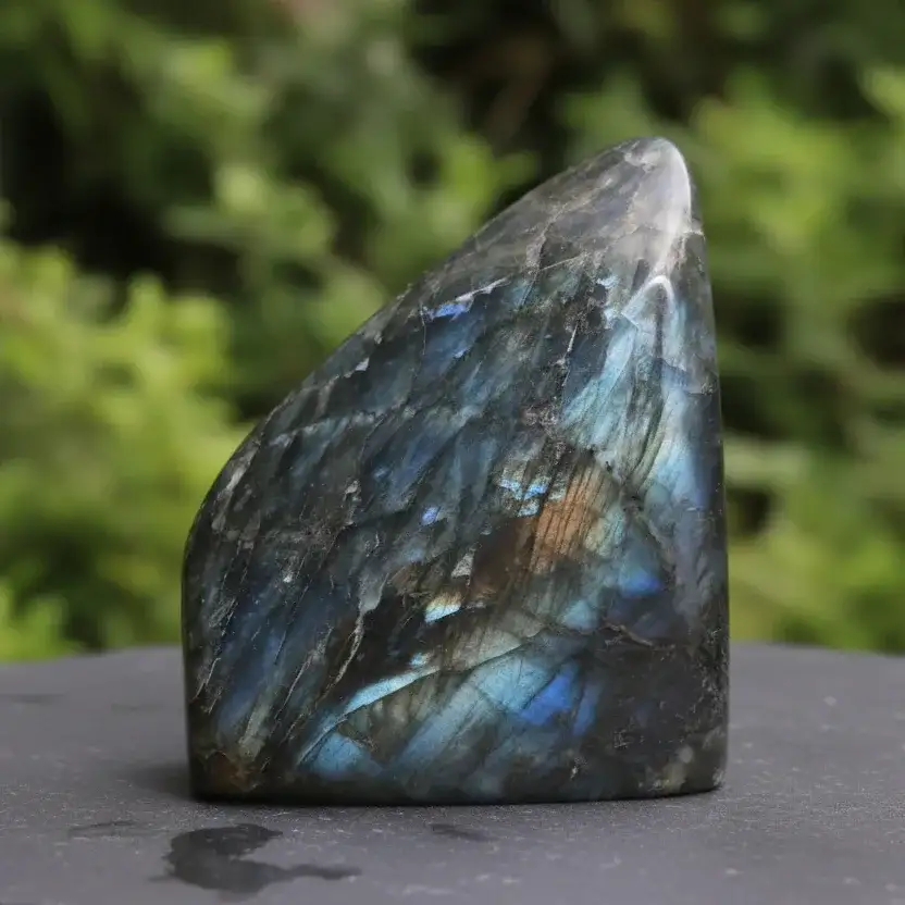 Forme libre polie en Labradorite 653g (PRGFL256 - 2)