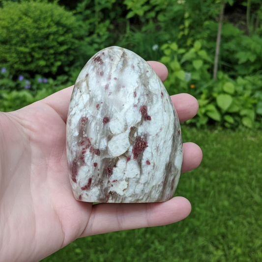 Forme libre polie en Tourmaline rose 283g (PRGFL285)