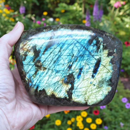 Forme libre en Labradorite 1229g (PRGFL527-9)