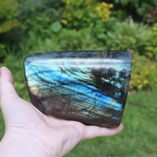 Forme libre en Labradorite 1015g (PRGFL527 - 6)