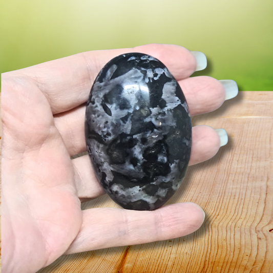 Galet en Gabbro 98g (PRGFL524-8) - ENAE Minéraux