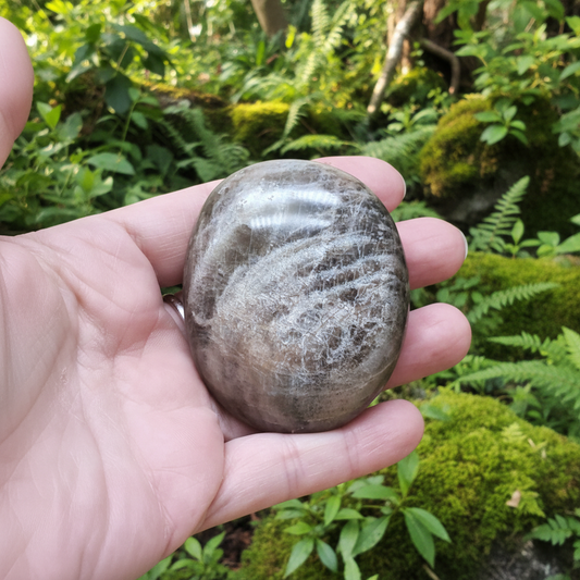 Galet en Pierre de Lune noire 91g (PRGFL608-7)