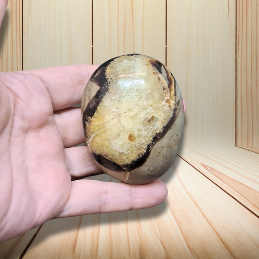 Galet en Septaria et Calcite jaune 155g (PRGFL717) - ENAE Minéraux