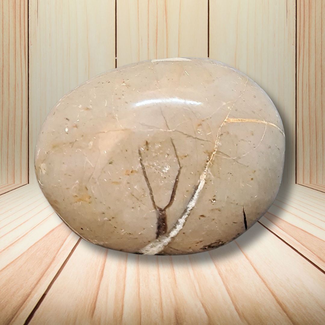 Galet en Septaria et Calcite jaune 155g (PRGFL717) - ENAE Minéraux