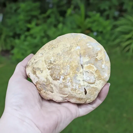 Géode complète de Cristal de Roche 729g (MB306 - 14)