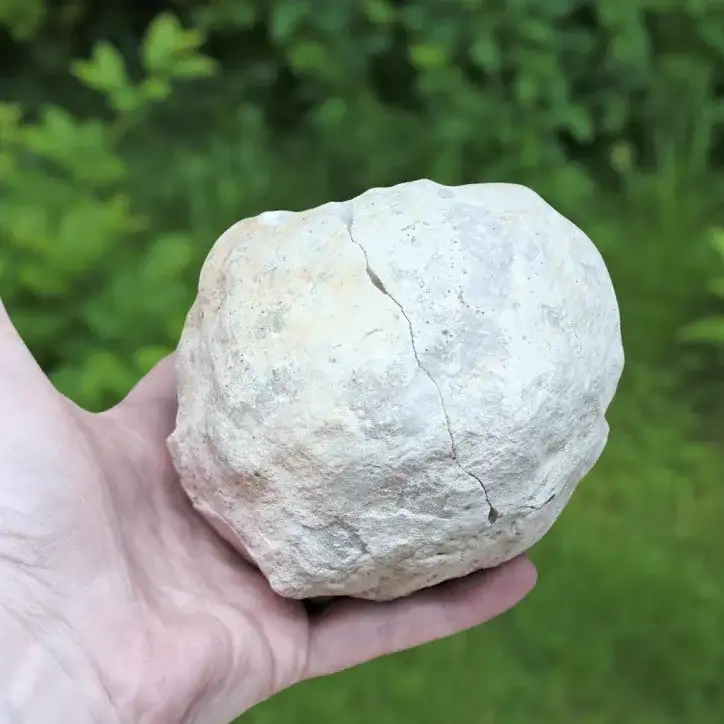 Géode complète de Cristal de Roche 871g (MB306 - 16)