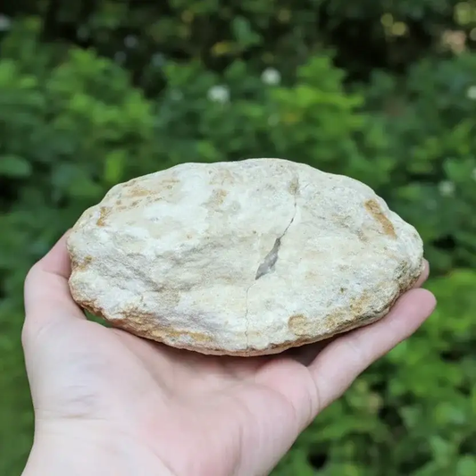 Géode complète de Cristal de Roche 628g (MB306 - 18)
