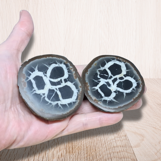 Grand nodule à Septaria 204g (PRGFL301-4) - ENAE Minéraux