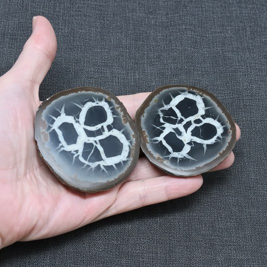 Grand nodule à Septaria 204g (PRGFL301-4)