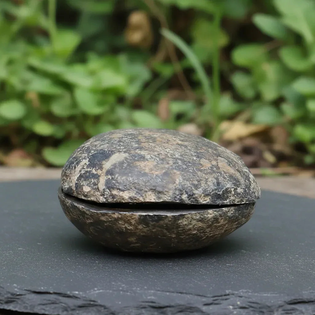 Grand nodule à Septaria 204g (PRGFL301-4)