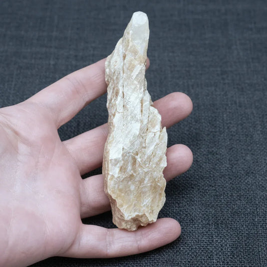 Gypse Fer de Lance brut 87g (MB525)