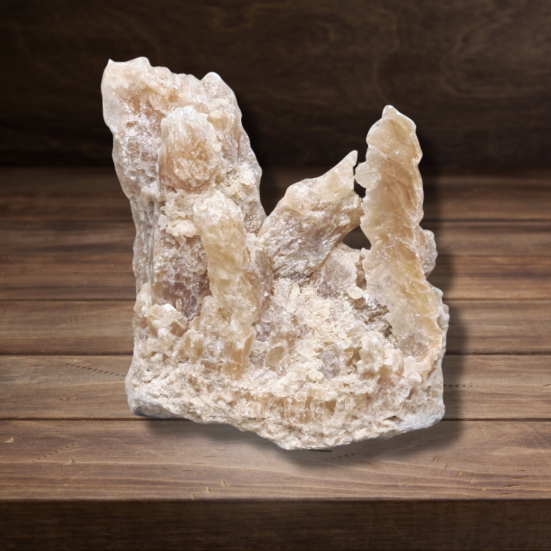 Gypse "Fer de Lance" et Argile bruts 127g (MB525-2)