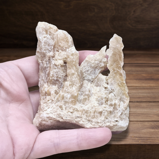 Gypse "Fer de Lance" et Argile bruts 127g (MB525-2)