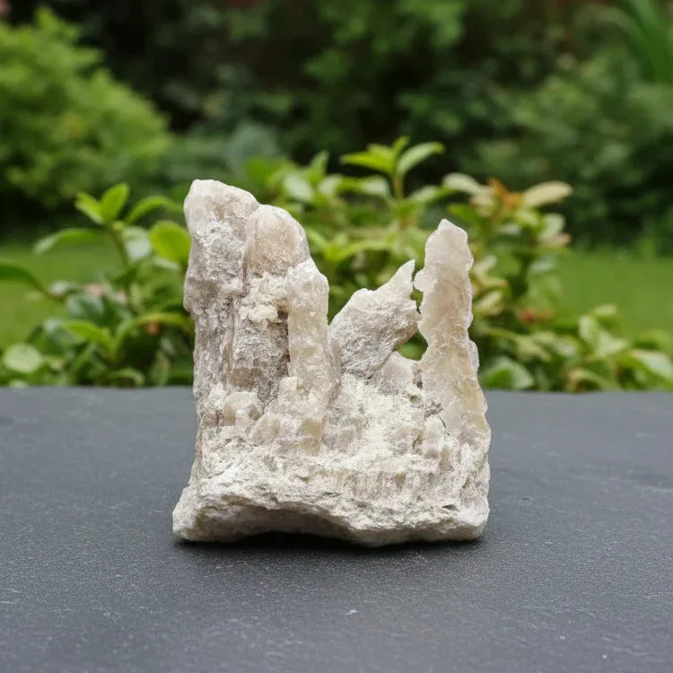 Gypse "Fer de Lance" et Argile bruts 127g (MB525-2)