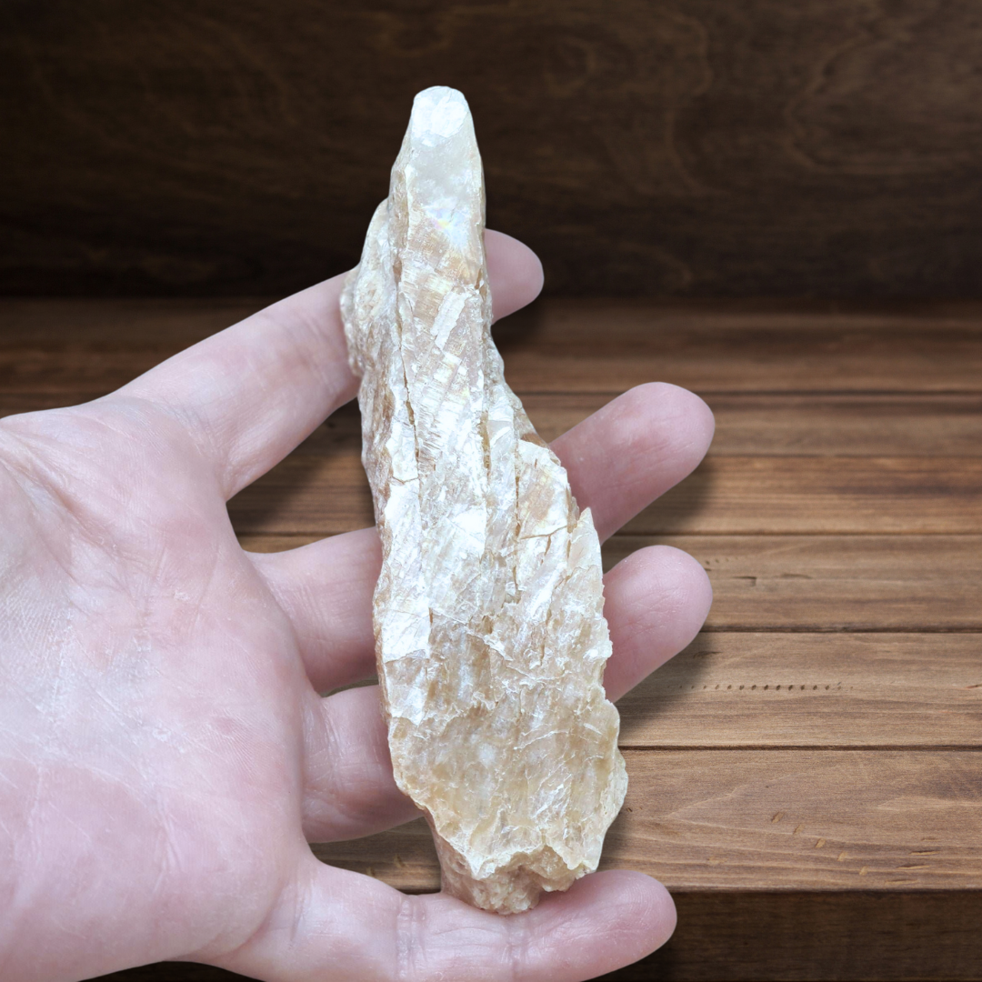 Gypse Fer de Lance brut 87g (MB525)