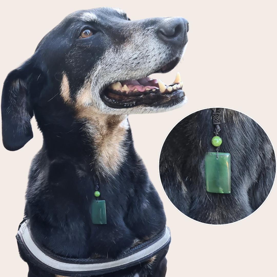 Collier chien Jade - ENAE Minéraux