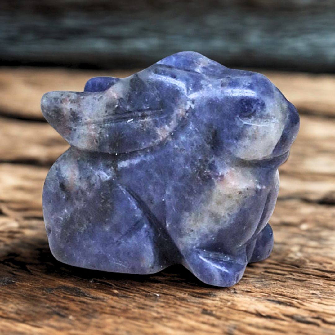 Lapin en Sodalite 28g (PRGFL365-6)