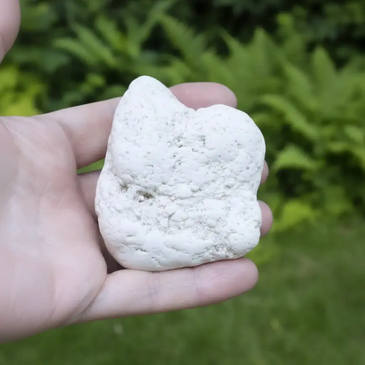Magnésite brute 165g (MB373 - 1)