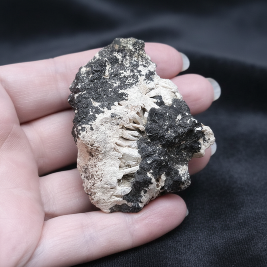 Néphéline sur Schorlomite brute 96g (MB220)